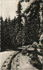 Doubs - Piste dans la Neige à Doubs
