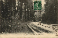 Vallee de la Loue - Foret de Sapins de Mouthier a Pontarlier à Pontarlier