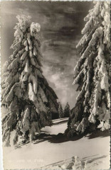 Dans le Jura