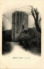 Lamalou-le-Haut La Tour