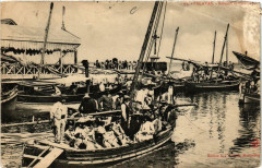 Palavas Bateaux -
													34 Hérault
												