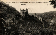 Argentat - Env. - Les Ruines du Chateau du Merle - Ensemble