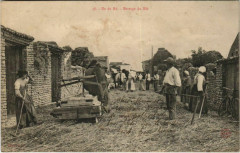 Ile-de-Re Battage du blé