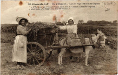 Ile-d'Oleron Types du Pays-Récolte des Oignons