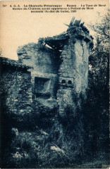 Rouex - La Tour de Mere-Restes du Chateau -
													16 Charente
												