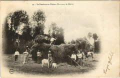 Poitou La Fenaison