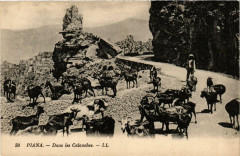 Piana - Dans les Calanches Corse à Piana