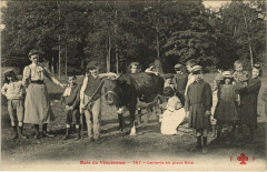 Bois de Vincennes - Laiterie en plein Bois à Paris 12e