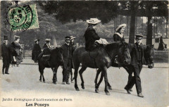 Carte postale ancienne Jardin Zoologique d'Acclimatation de Paris - Les Poneys
                                                                     à Neuilly-sur-Seine
                                