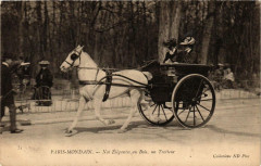 Paris-Mondain - Nos Elégantes au Bois, un Trotteur à Paris 16e