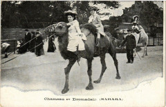 Jardin d'Acclimatation - Chameau et Dromadaire -
																					75000 Paris
																			