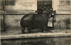 Paris 5e Jardin des Plantes L'Hippopotame Tako -
																					75005 Paris 5e
																			