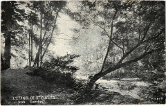 L'Etang de Saint-Cucufa pres Garches à Garches