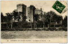Env. de Chatel-Guyon Le Chateau de Chazeron