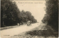 Bois-de-Cise Grande Avenue -
													80 Somme
												