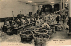 Moet & Chandon - Mise en Bouteilles