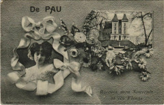 Pau souvenir France à Pau