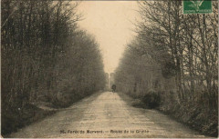 Foret de Mervent - Route de la Grotte
