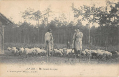 Landes Un Instant De Repos Echassier