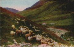 L'Oisans - Vers la Route du Galibier