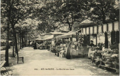 Aix-les-Bains Le Marche aux Fleurs à Aix-les-Bains