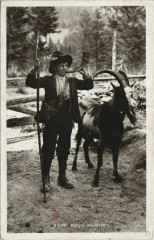 Berger des Alpes - Type -
													73 Savoie
												