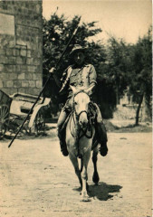 Provence et Camargue Tuos Droits Reserves Folklore