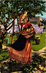 Cote d'Azur Cueillette des Oranges et des Citrons Folklore