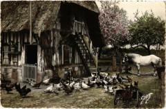 La Normandie Devant la Ferme France Folklore