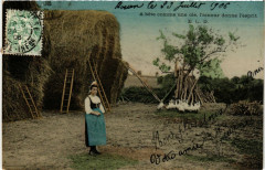A bete comme une oie l'amour donne l'esprit France Folklore -
													France
												