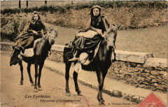 Les Pyrénéés - Paysannes allant au marché - Folklore - Types