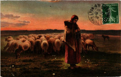 Femme Berger - Folklore - Types