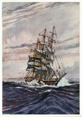 Stalen Volschip Europa - Ships