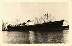 Le Navire de charge Donai Ships