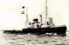 Maas Ships