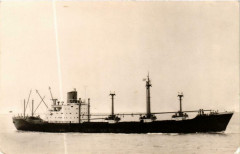 Buchenstein Ships