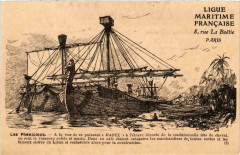 Les Pheniciens Ships