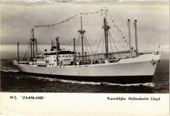 M.S.Zaanland Koninklijke Hollandsche Lloyd Ships
