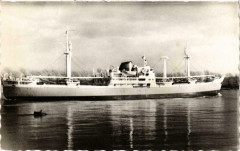 Ville de Nantes Ships