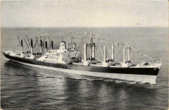 Ss African Comet Farrell Lines Incorporated Ships