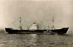 New York Harbor Ships