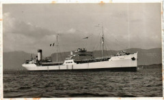 Petrolier Nivose Ships