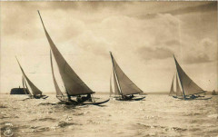 Sailing Vessels - Boats - Regatta Ships