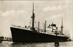 M. S. Java Ships