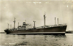 M.S. Wonosari Ships
