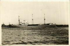 M.S. Kedoe Ships