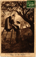 Folklore - En Provence - L'Oulivado - Cueillette des Olives