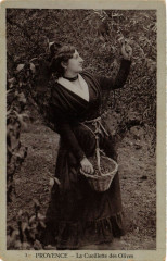 Folklore - Provence - La Cueillette des Olives