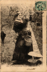 Folklore - La Cueillette des Olives - Provence