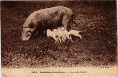 France - Folklore - Les Scenes Champetres - Une Belle Famille